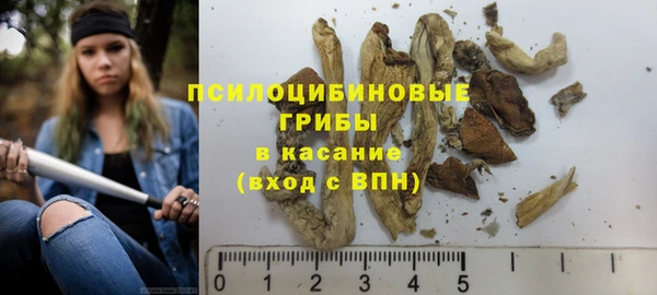индика Елабуга