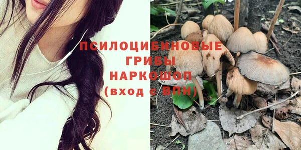 индика Алексеевка