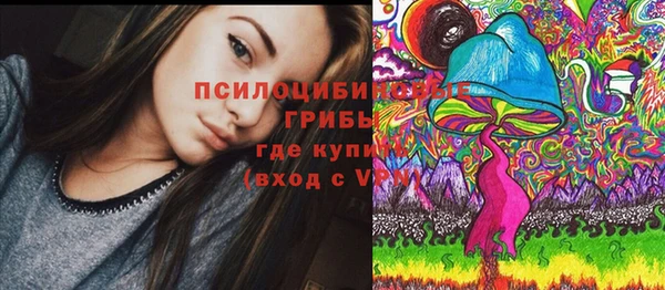 индика Алексеевка