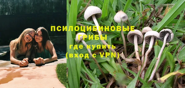 а пвп мука Алзамай