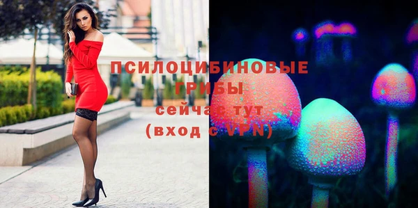 индика Алексеевка